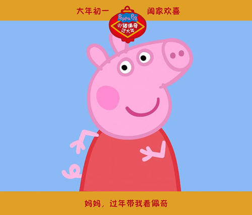 日本埼玉医科大学学生卡